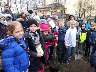 Dąb Niepodległości