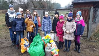 Wizyta w&nbsp;schronisku Diesel