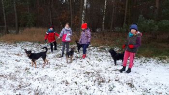 2018 02 05 szkolny klub wolontariusza