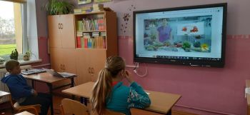 Międzynarodowe obchody Europejskiego Dnia Zdrowego Jedzenia i&nbsp;Gotowania.